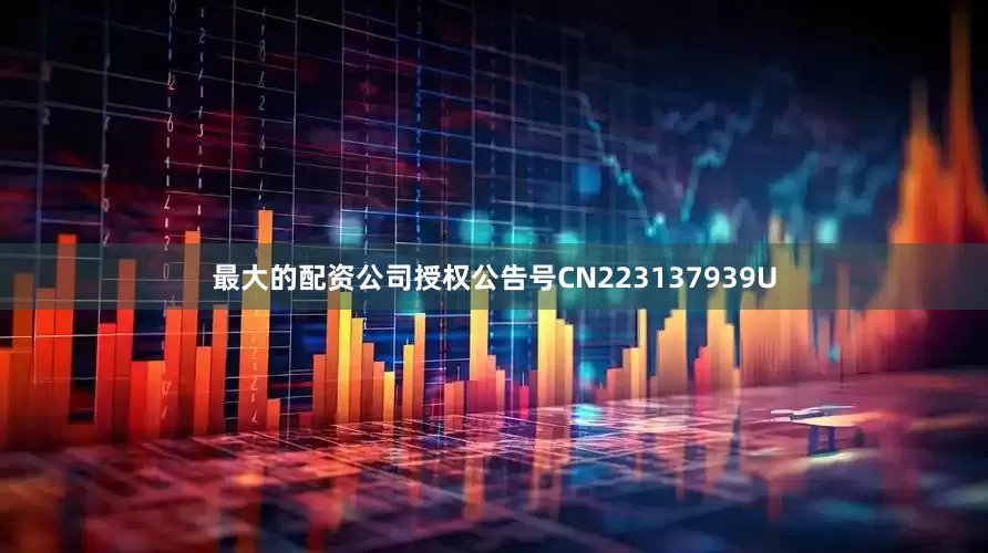 最大的配资公司授权公告号CN223137939U