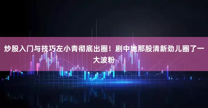 炒股入门与技巧左小青彻底出圈！剧中她那股清新劲儿圈了一大波粉