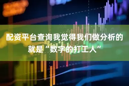配资平台查询我觉得我们做分析的就是“数字的打工人”