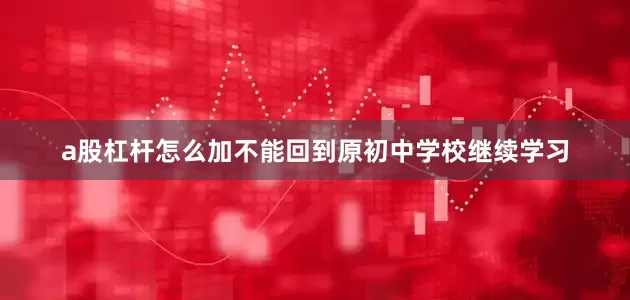 a股杠杆怎么加不能回到原初中学校继续学习