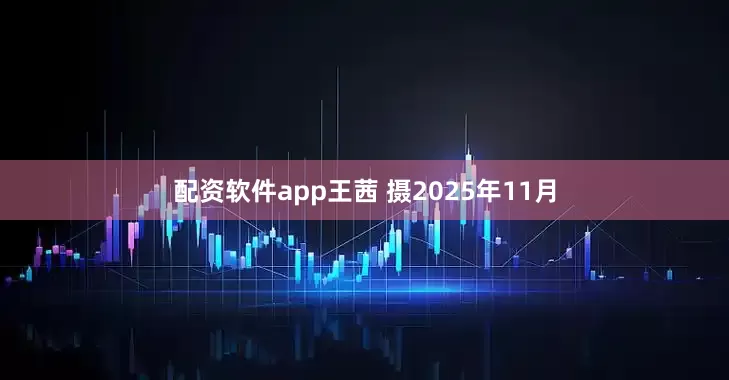 配资软件app王茜 摄　　2025年11月